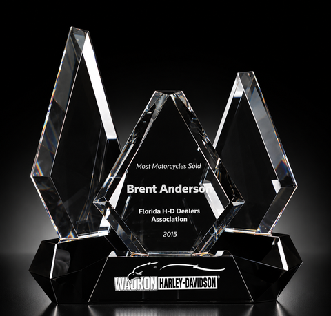 Evolution Crystal Award