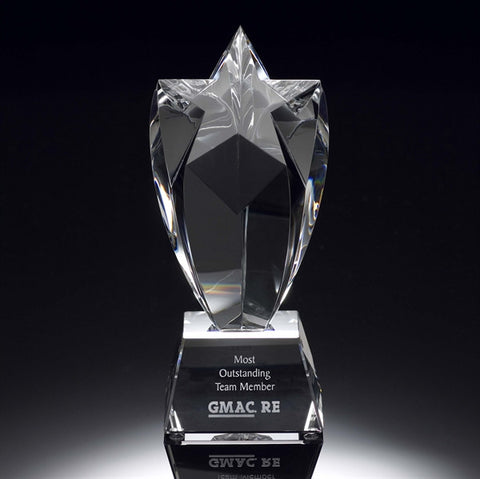 Shining Star Crystal Award