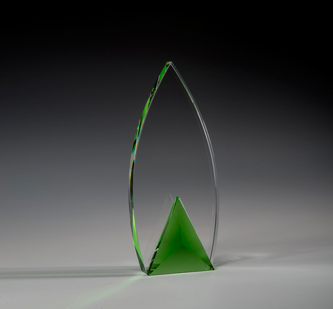 Frolic Crystal Award