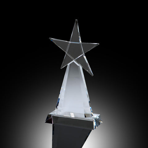 Evolving Star Elite Crystal Award